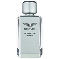 Bentley Momentum Intense - фото 62882