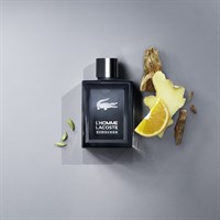 Lacoste L'Homme Timeless - фото 64125