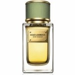 D&amp; G Velvet Bergamot