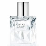 Iceberg Tender White Iceberg Tender White